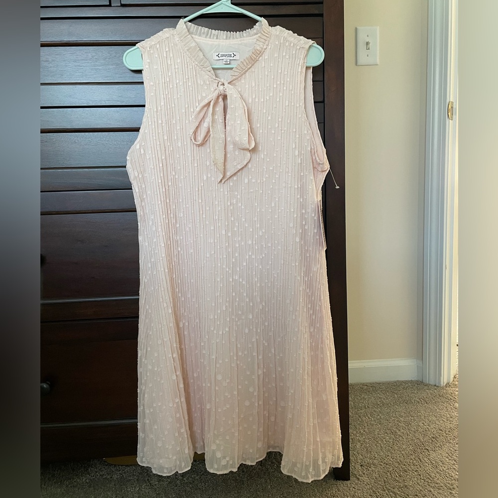 Blush NWT Nanette sleeveless dress.  Very elegant and never worn.